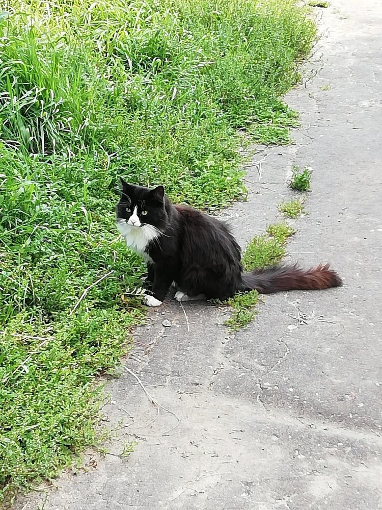 Photograph by Марина