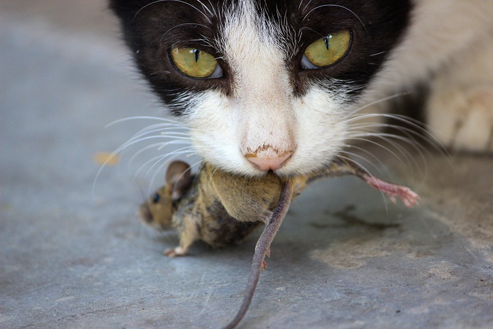 Photograph by Namdev Nagare