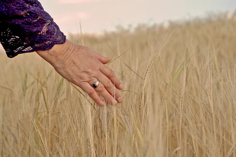 Photograph by Iraj Jabbari