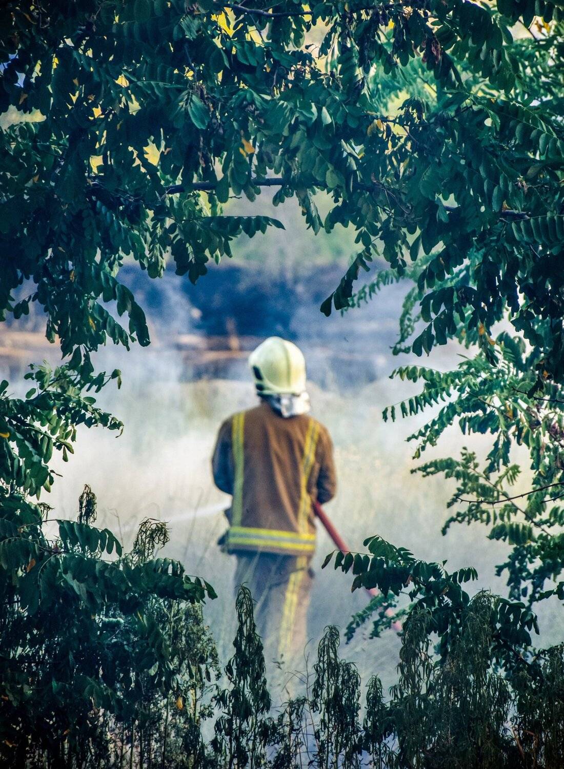 Фотография #3528876