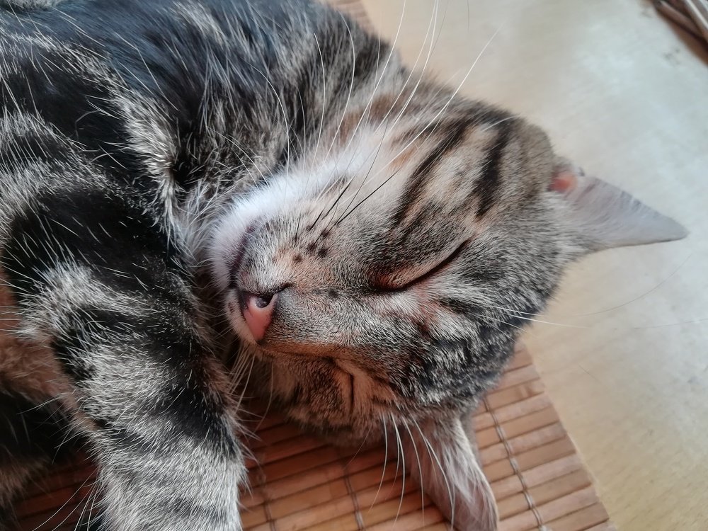 Photograph by Biljana Atanackovic