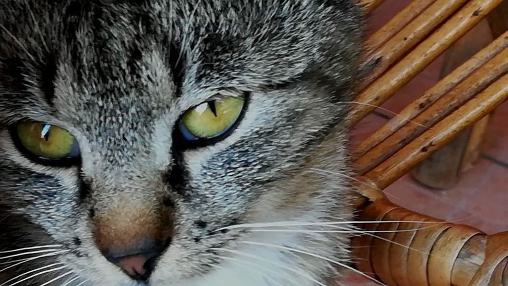 Photograph by Biljana Atanackovic