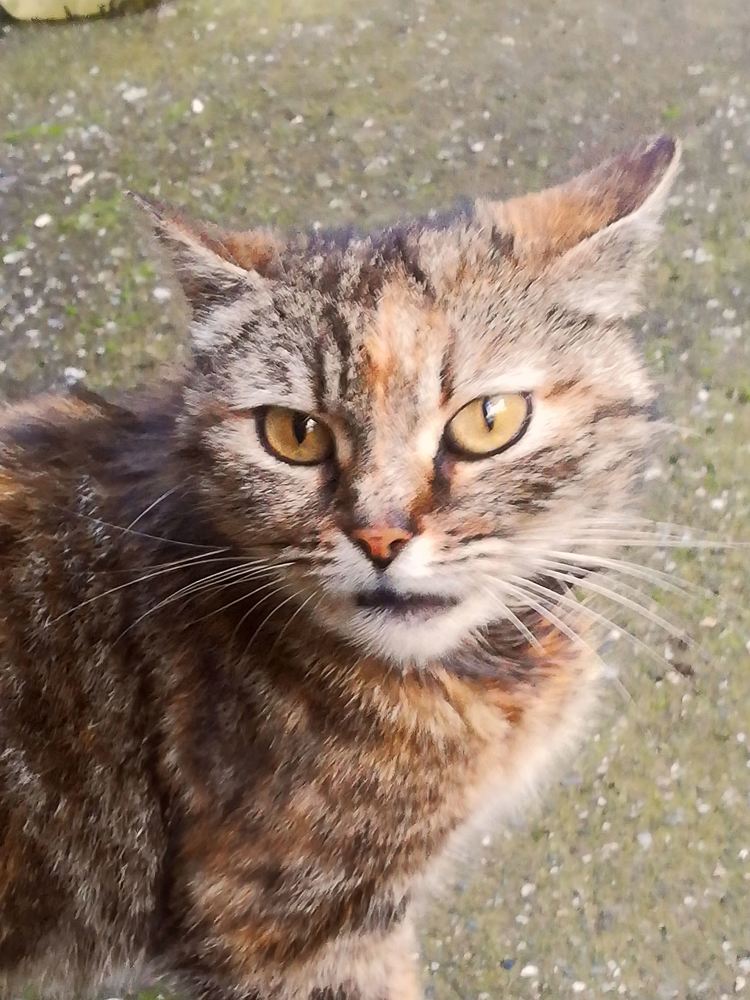 Photograph by Biljana Atanackovic