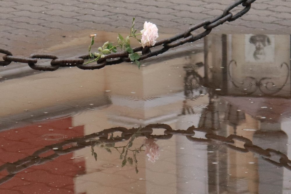 Photograph by Алена Агафонова