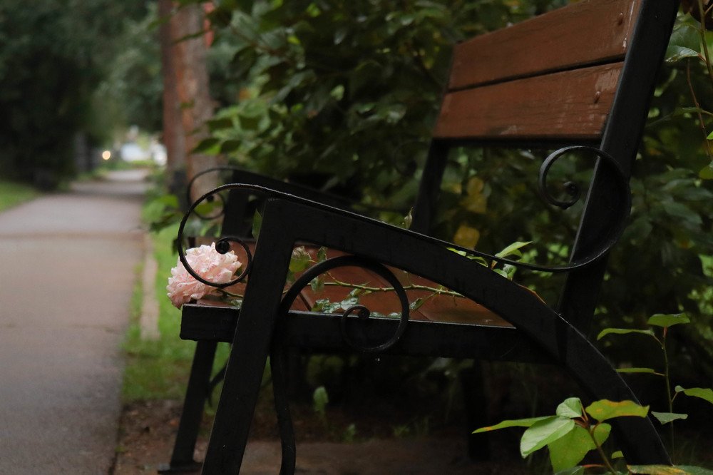 Photograph by Алена Агафонова