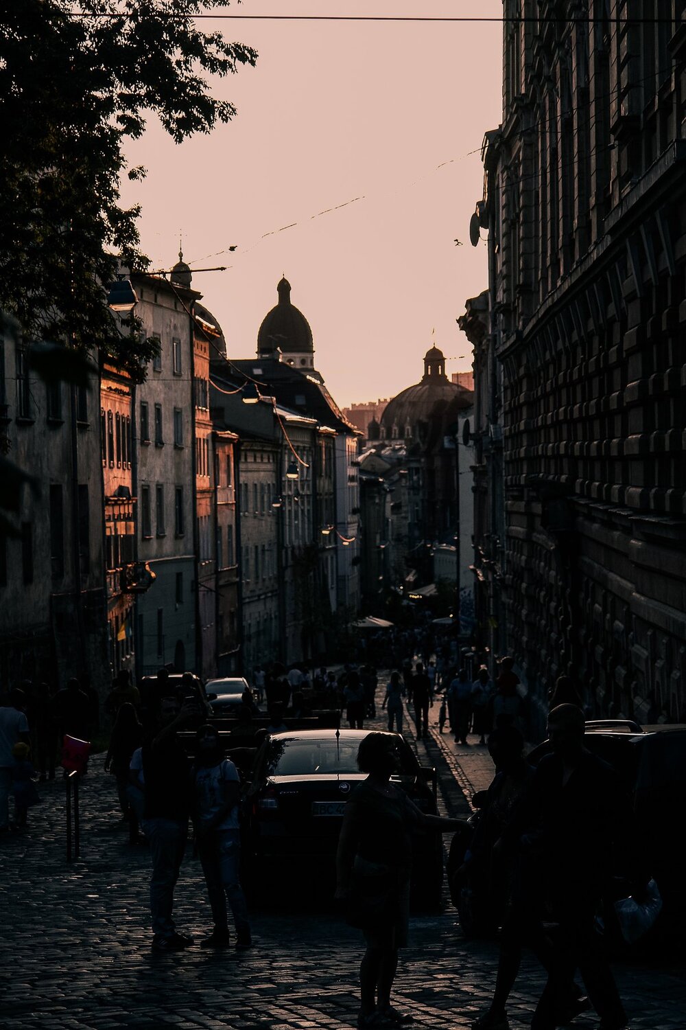 Photo #3528967
