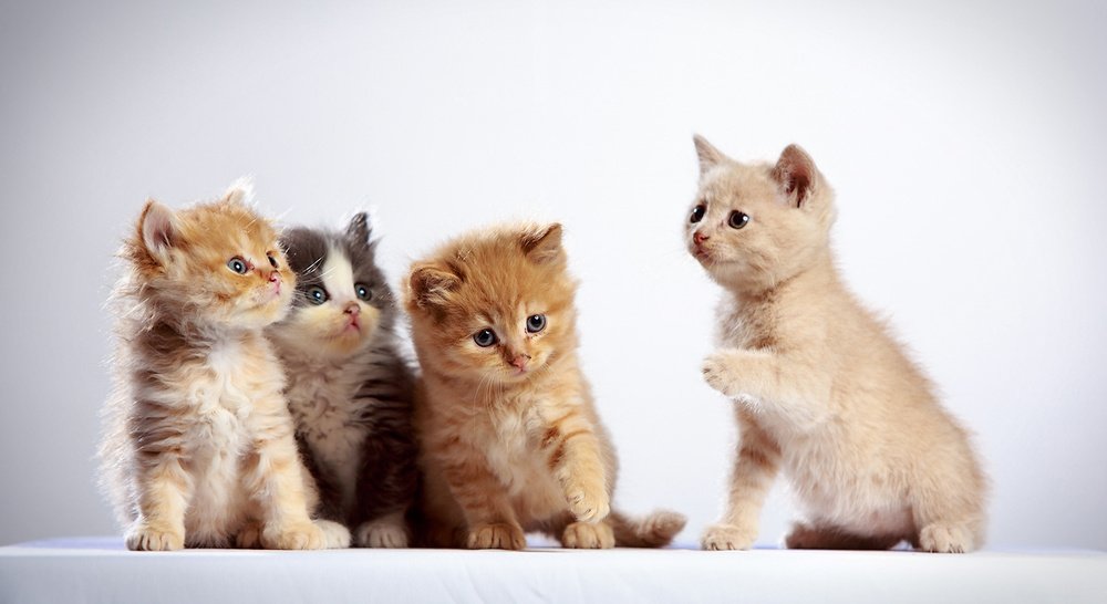 Photograph by Виктор Бабинцев