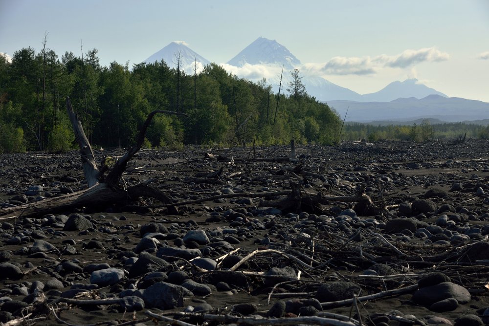 Photograph by Karasev Pavel