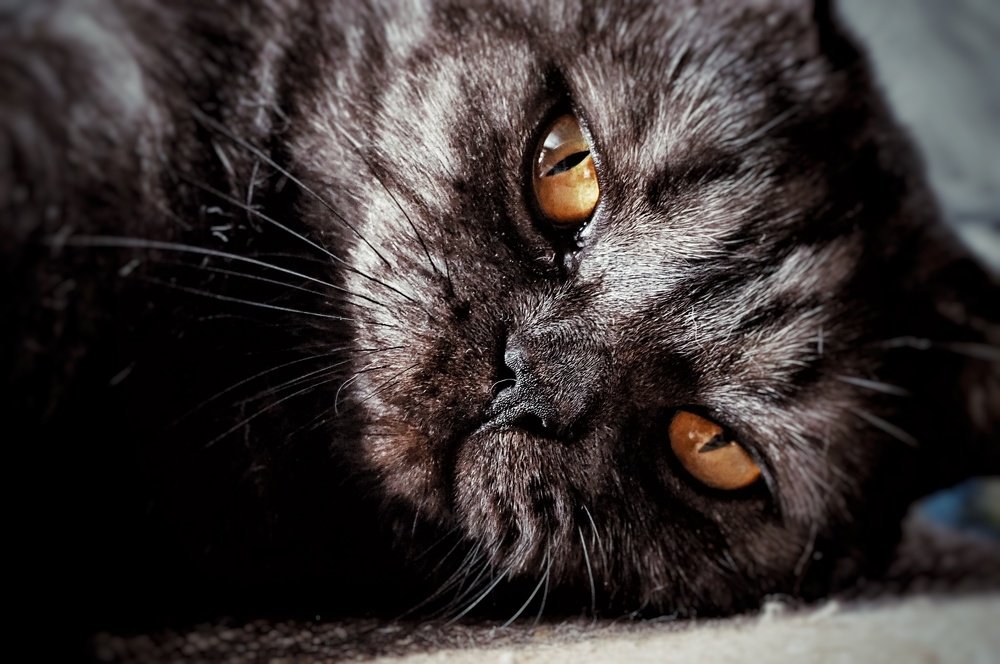 Photograph by Наталья Белоусова