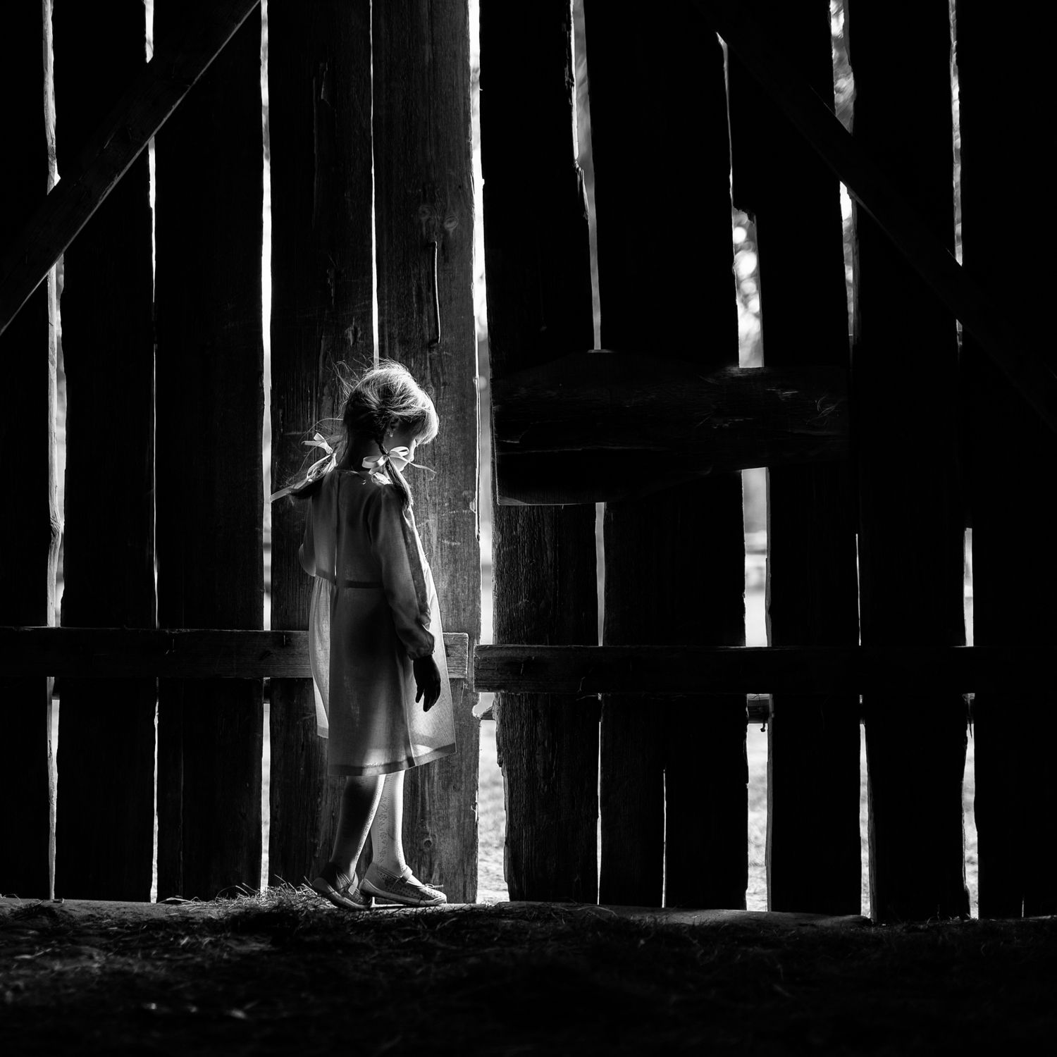 Фотография #3529143