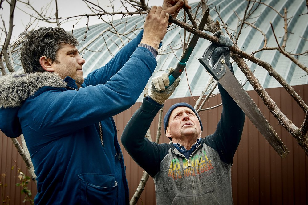 Photograph by Григорий Аспиотис