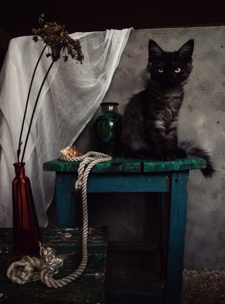 Photograph by Валерия Левшина