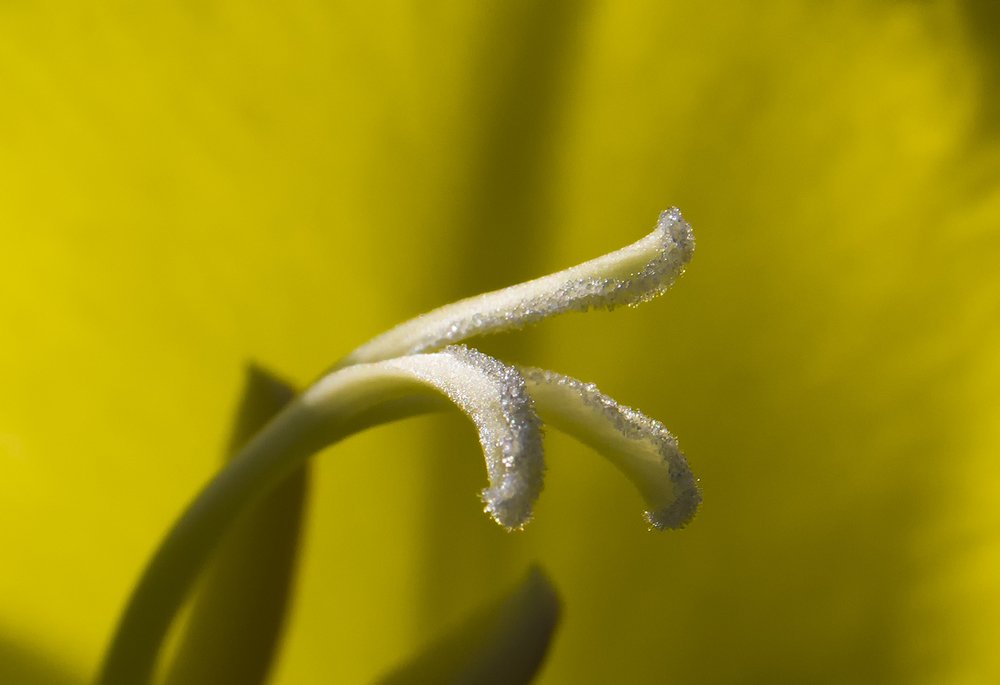 Photograph by Владимир