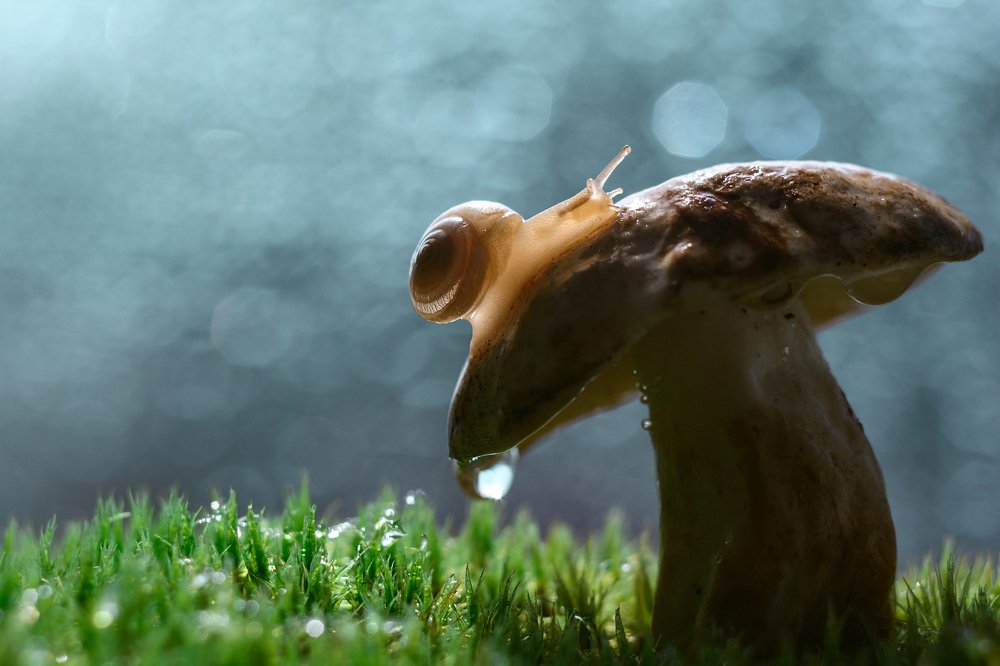 Photograph by Анна Дегтярёва