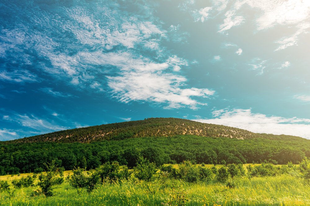 Photograph by Чмиль Валерия