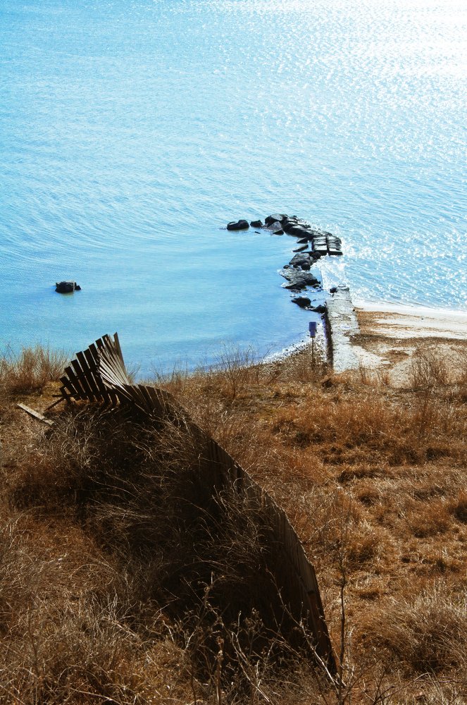Photograph by Анастасия Олексенко