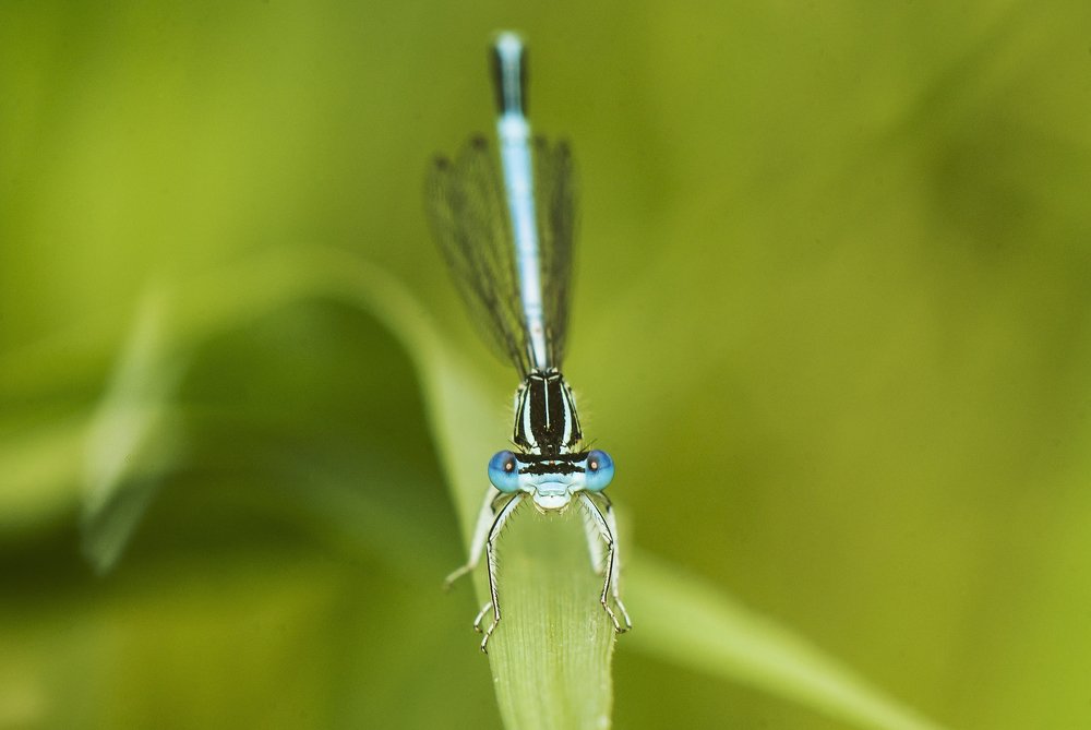 Photograph by Игорь Мальцев