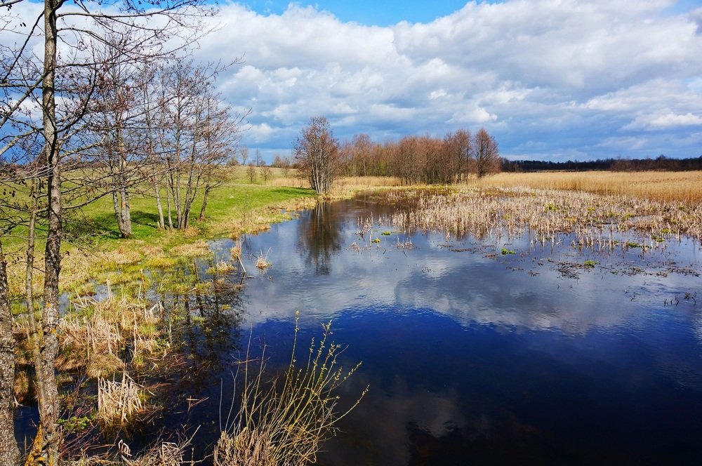 Фотография автора Valery Bel@kov