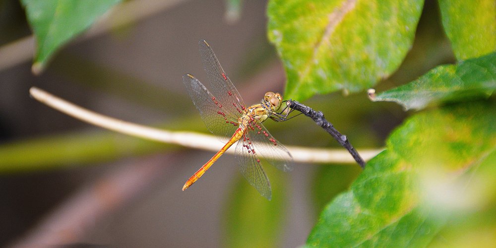 Photograph by Сергей Бережной