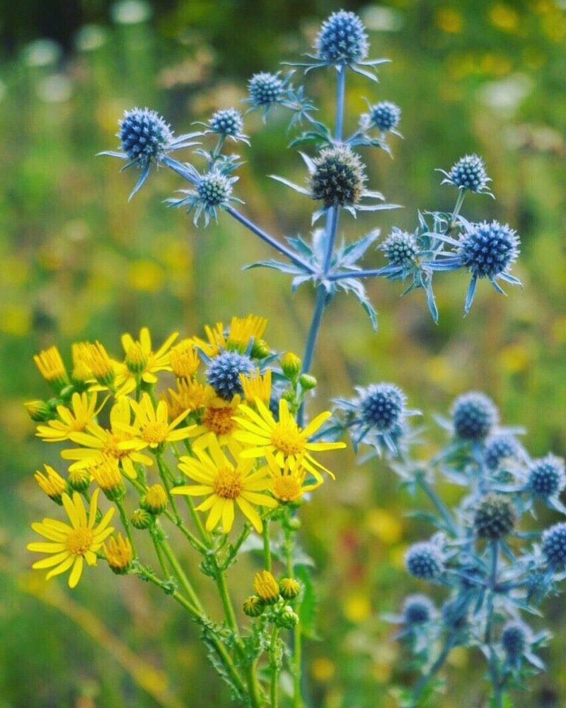 Природные контрасты