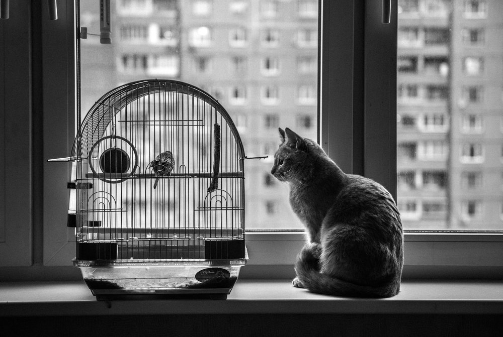 Photograph by Юлия Ла