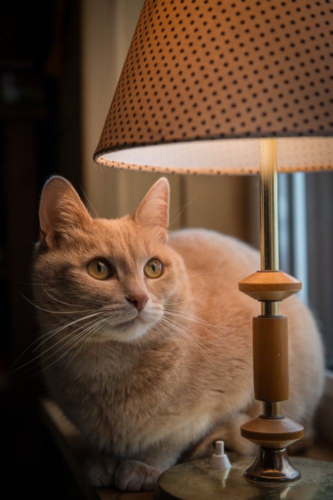 Photograph by Юлия Ла