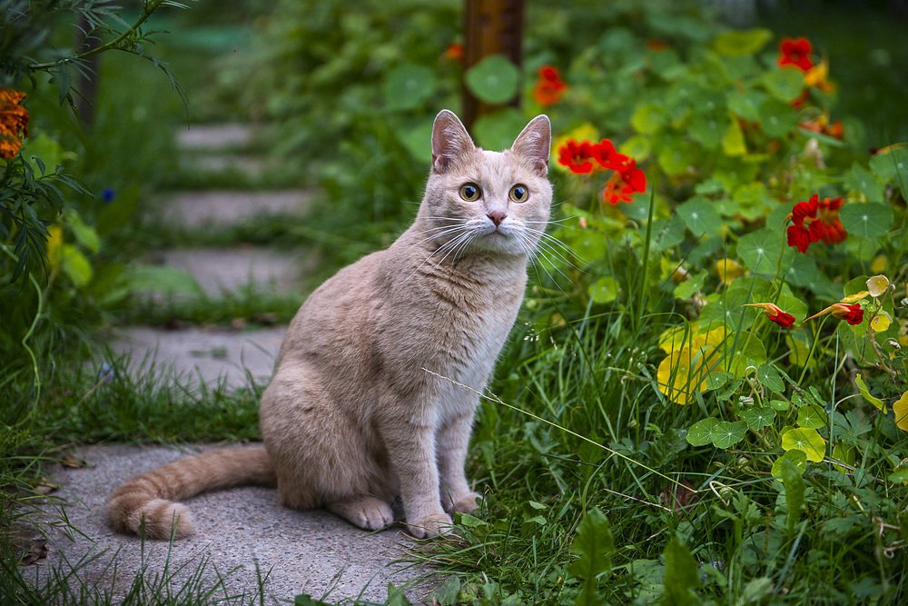 Photograph by Юлия Ла