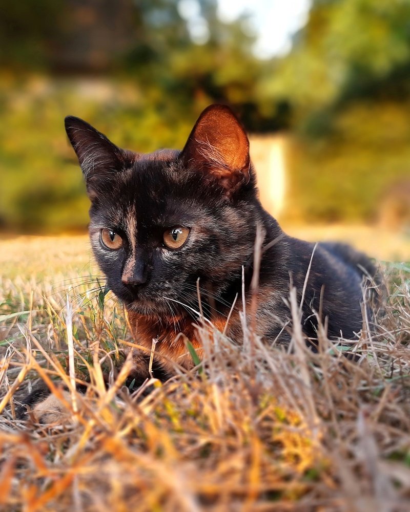 Photograph by Сергей Колос