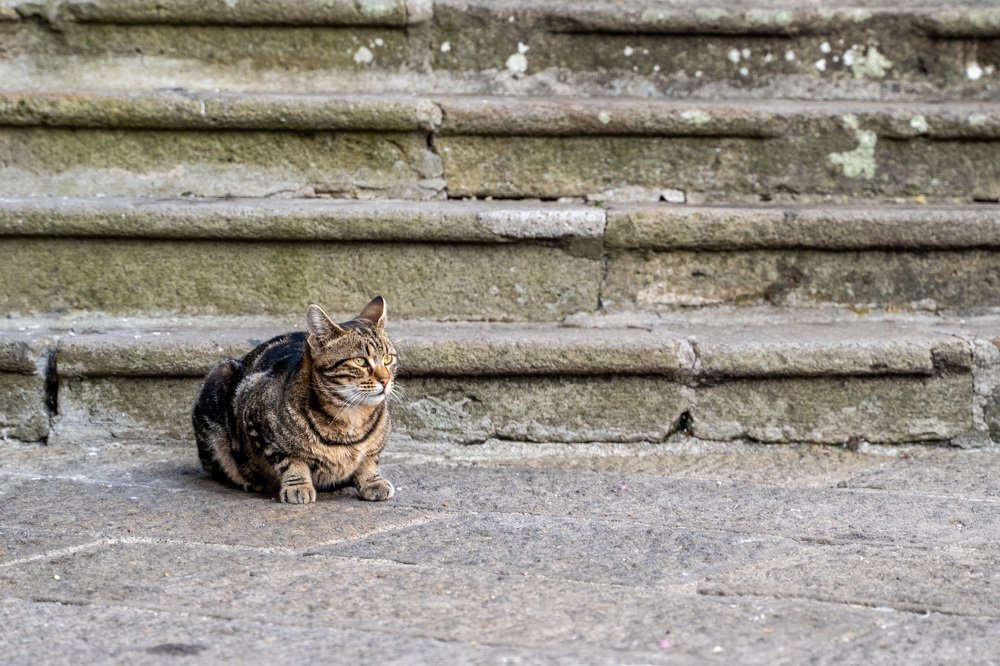 Photograph by Alexander Popov