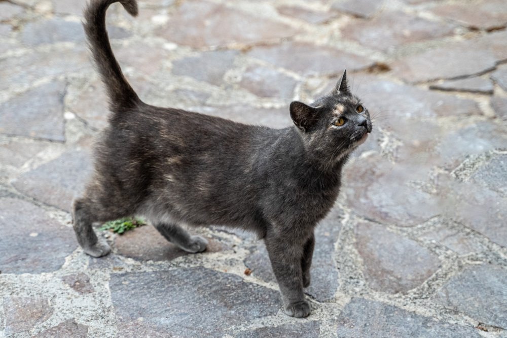 Photograph by Alexander Popov