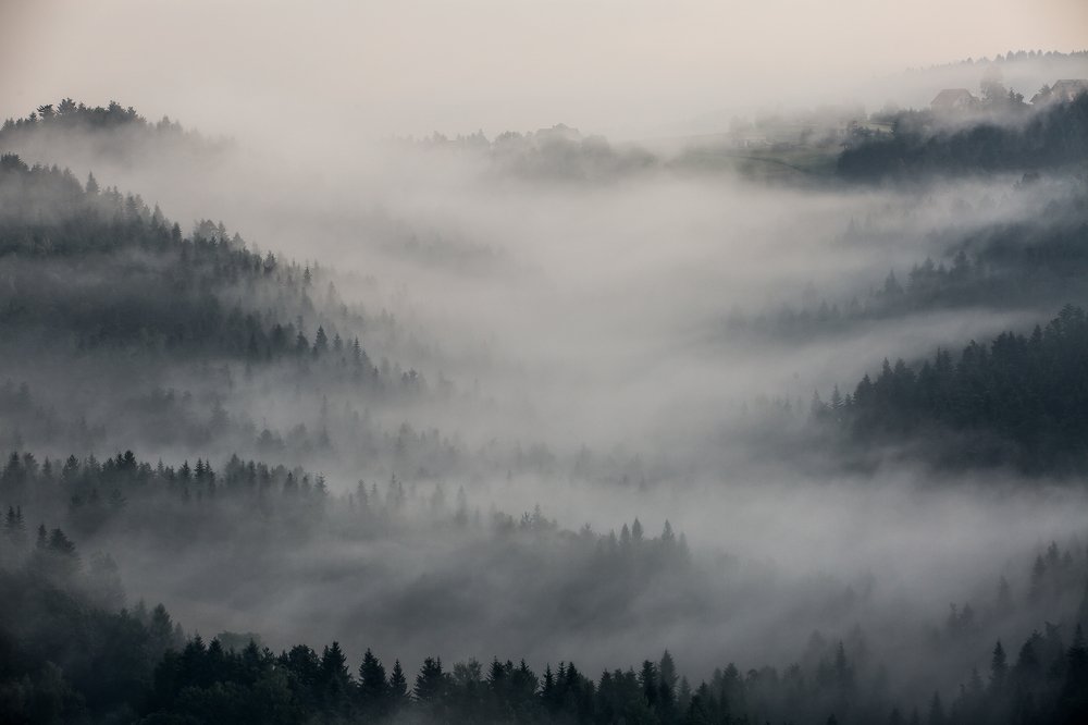 Photograph by Marcin Mirek