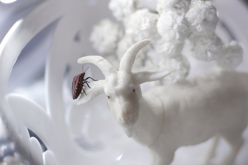 Photograph by Анастасия Сосновская