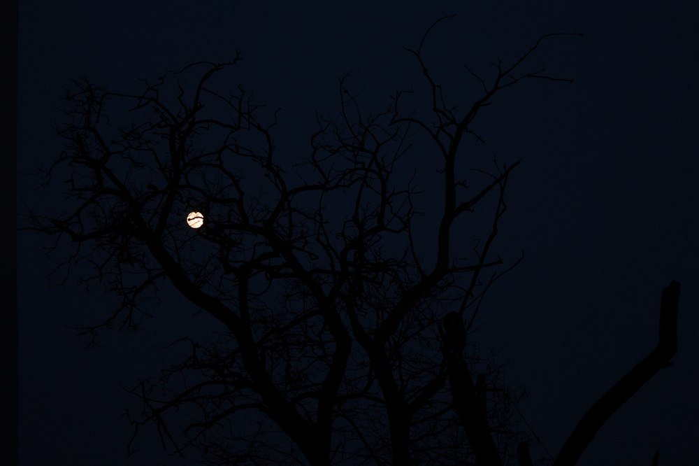 Photograph by Гибина Екатерина