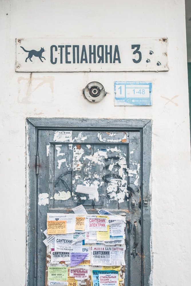 Photograph by Гибина Екатерина