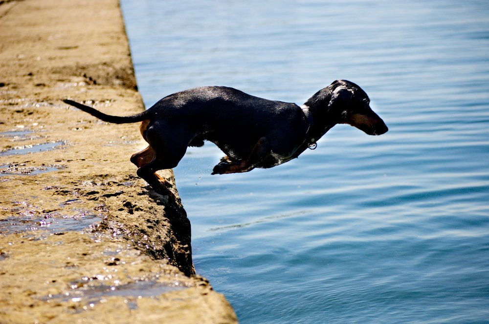 Photograph by Sergey Otkidach