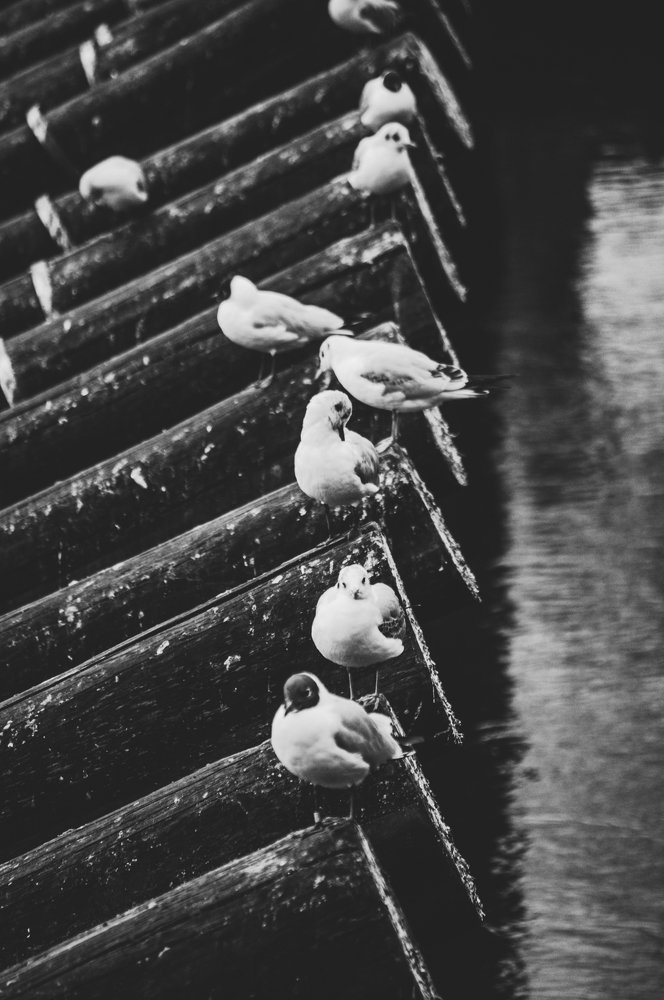 Photograph by Sergey Otkidach