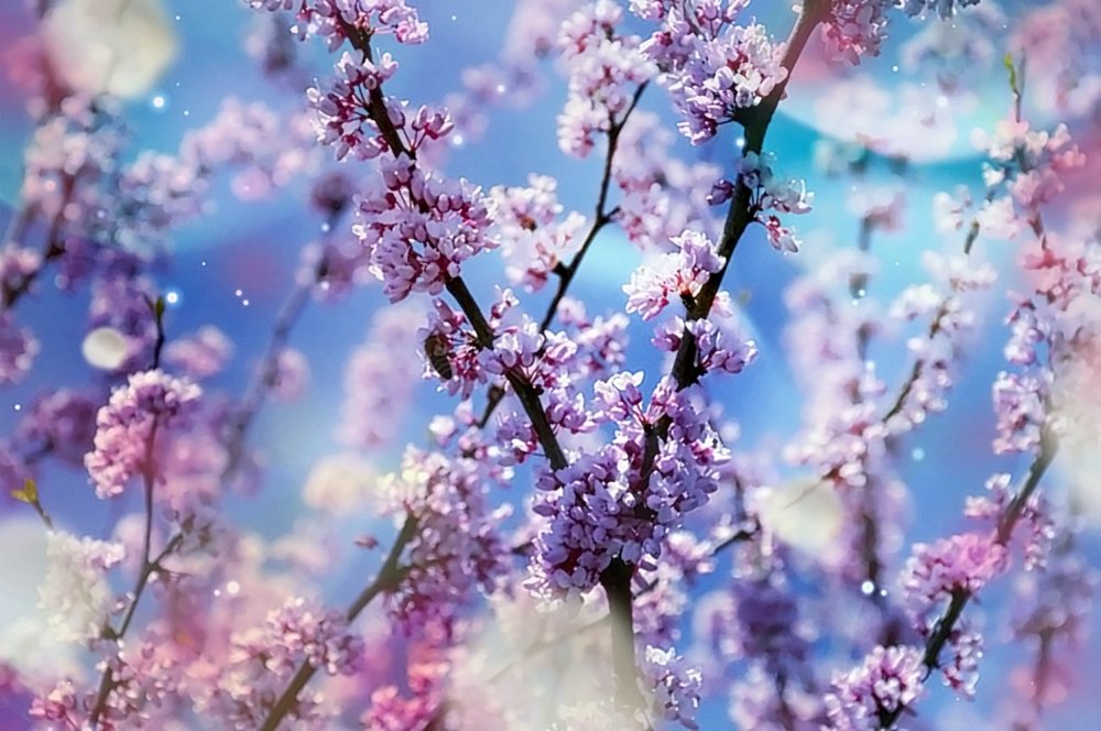 Photograph by Сергей Бережной