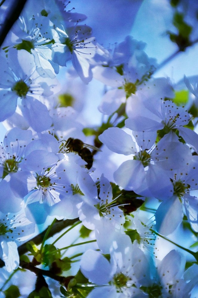 Photograph by Сергей Бережной