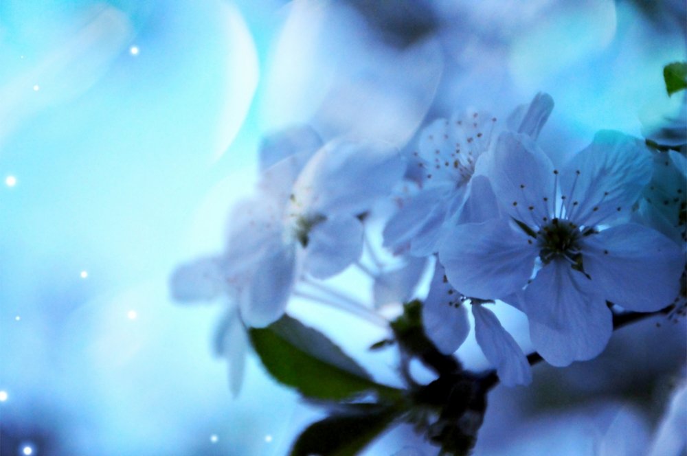 Photograph by Сергей Бережной