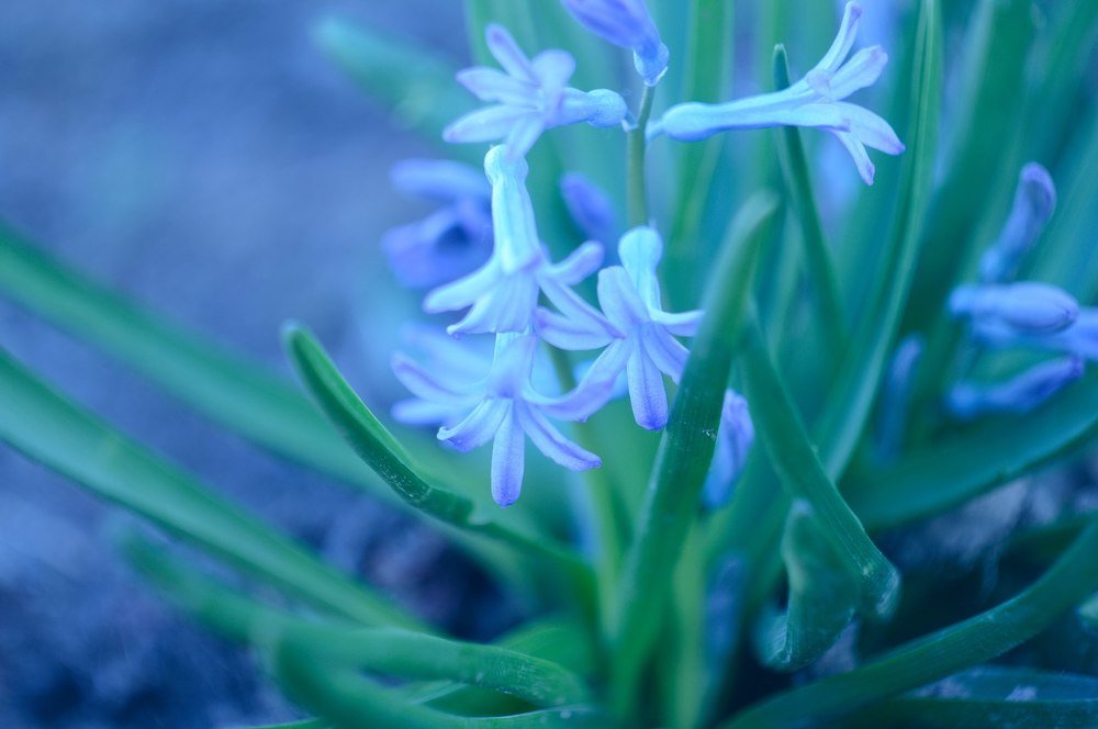 Photograph by Сергей Бережной