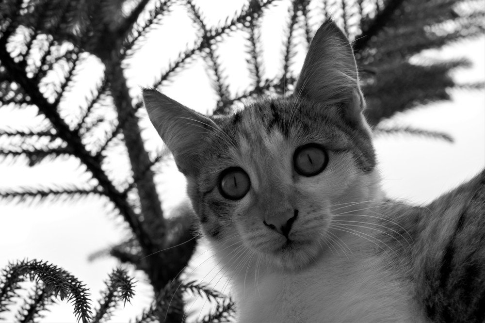 Photograph by Khorshid majidi