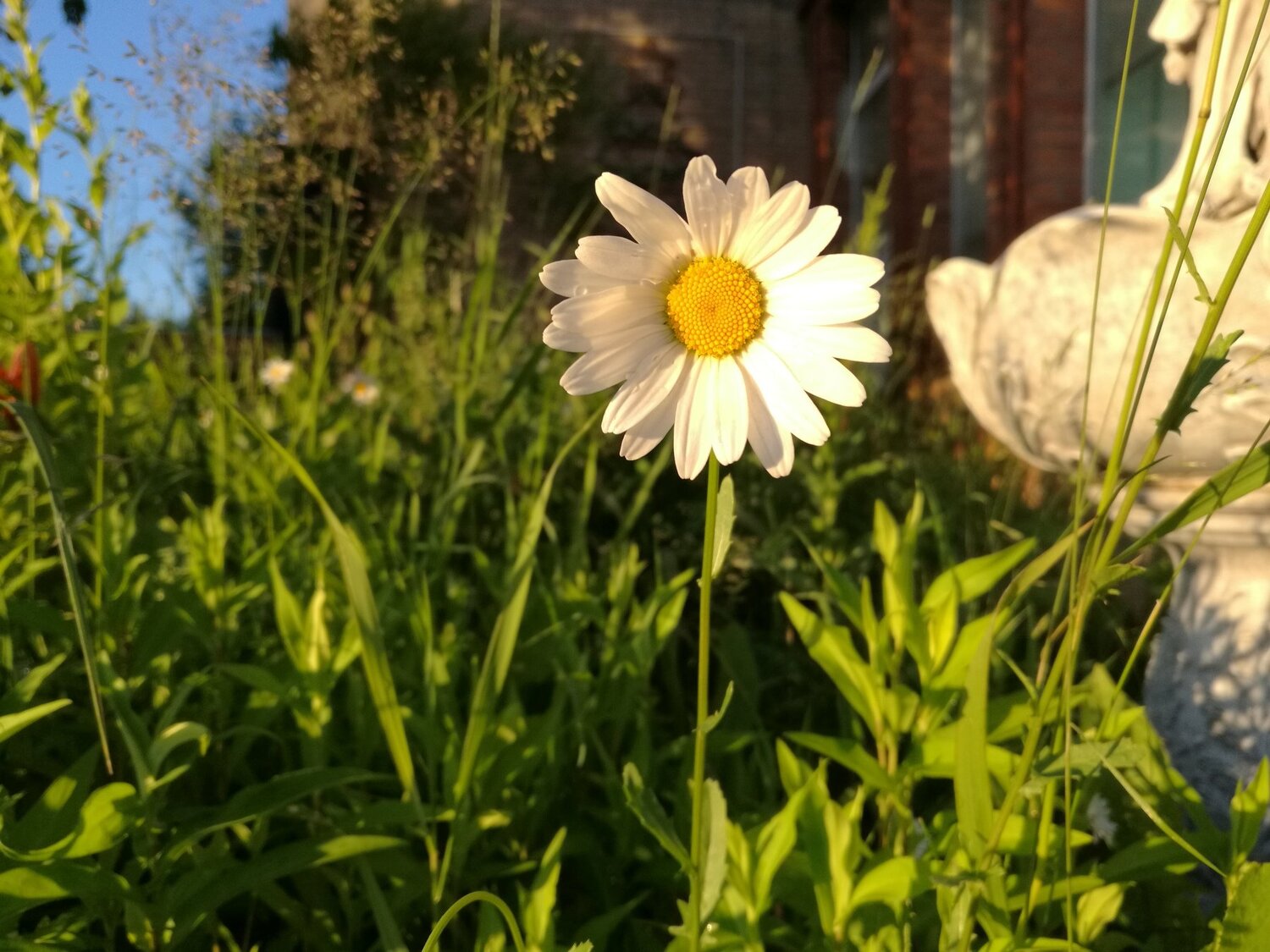 Photo #3530282