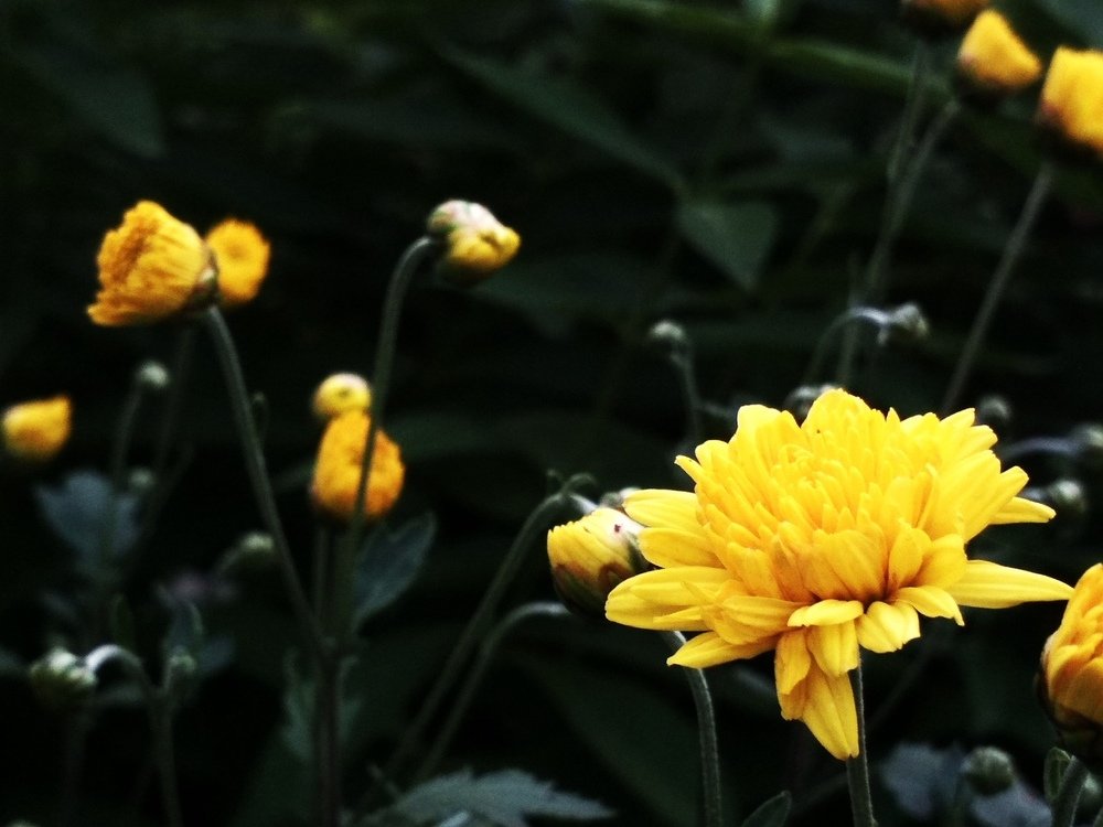 Photograph by Юлия Анисимова