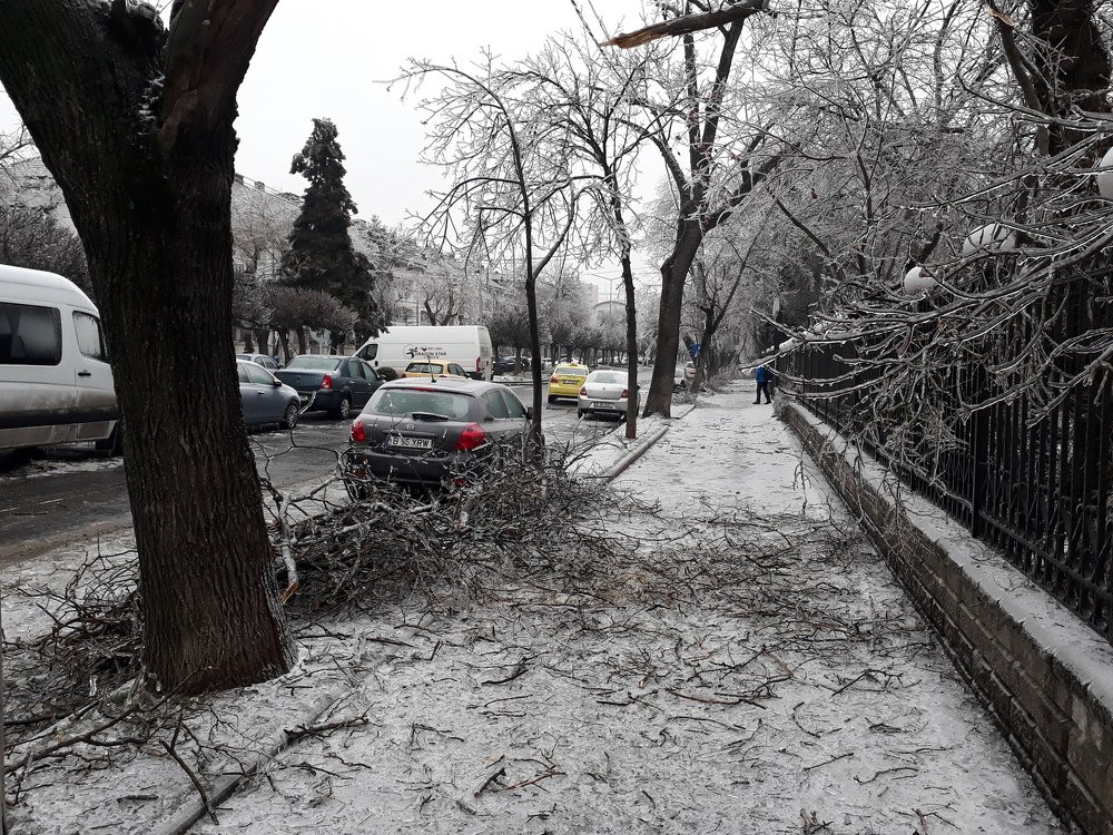 Photograph by Marius-Angel Gheorghe