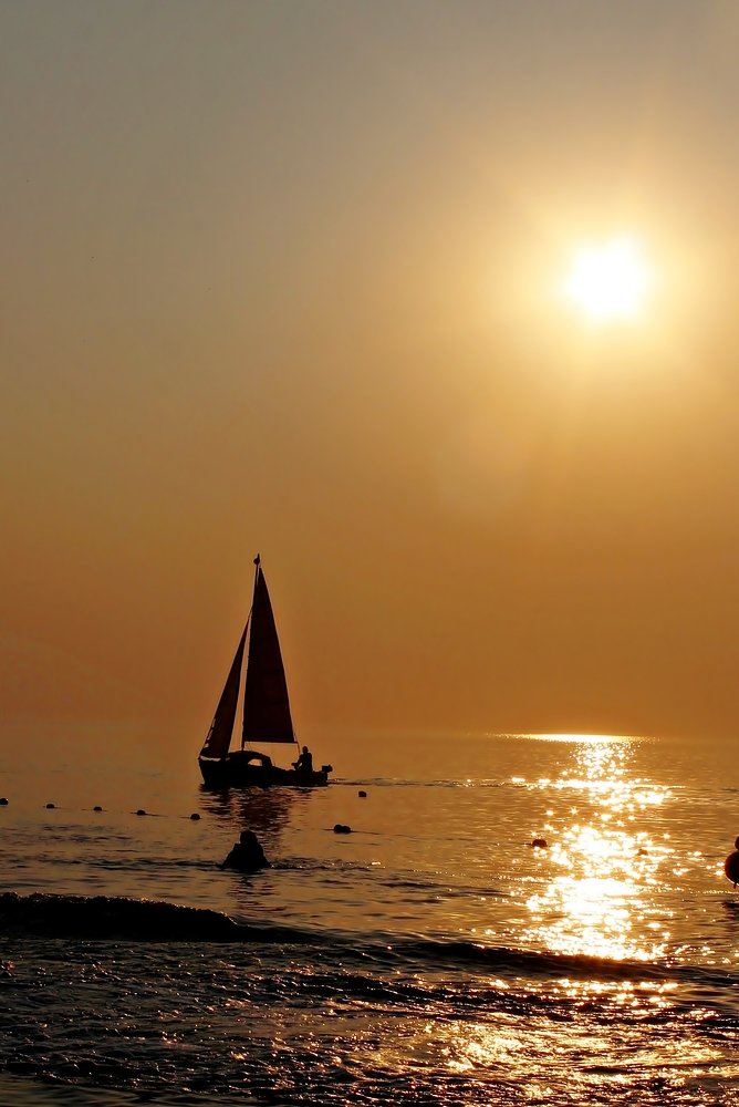 Photograph by Александр Велигура