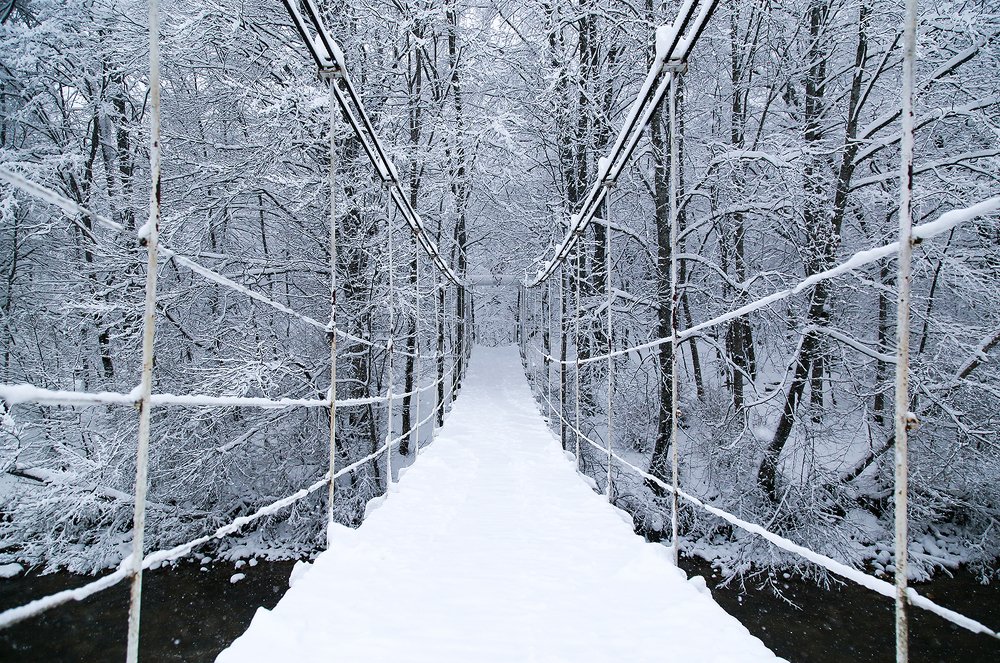 Photograph by Natalya Chumak