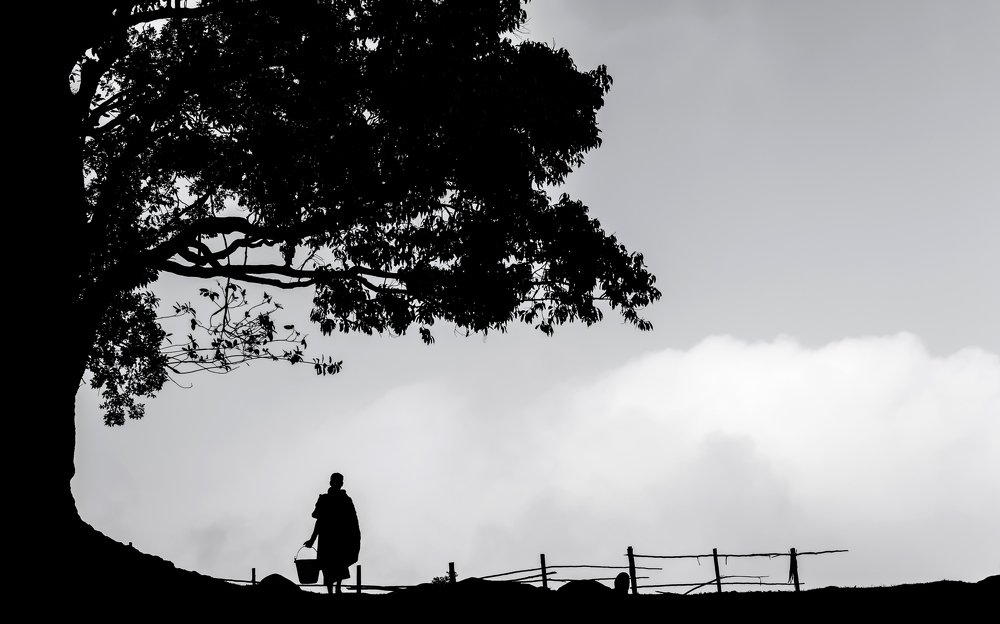 Photograph by Debashish Nandi