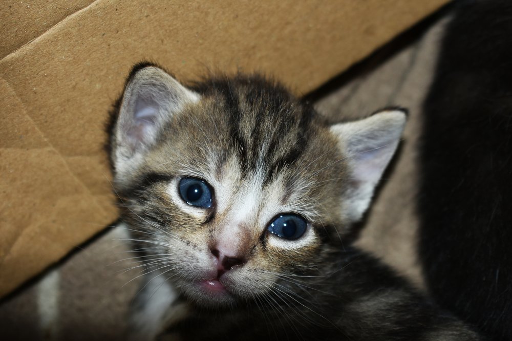 Photograph by Janusz Osika