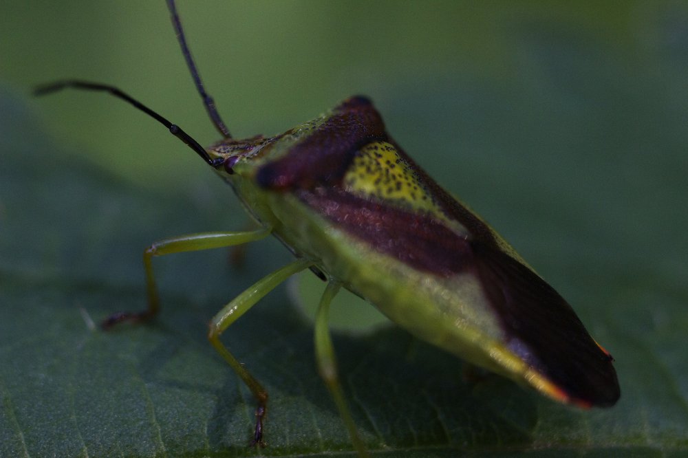 Photograph by Алексей Тимофеев