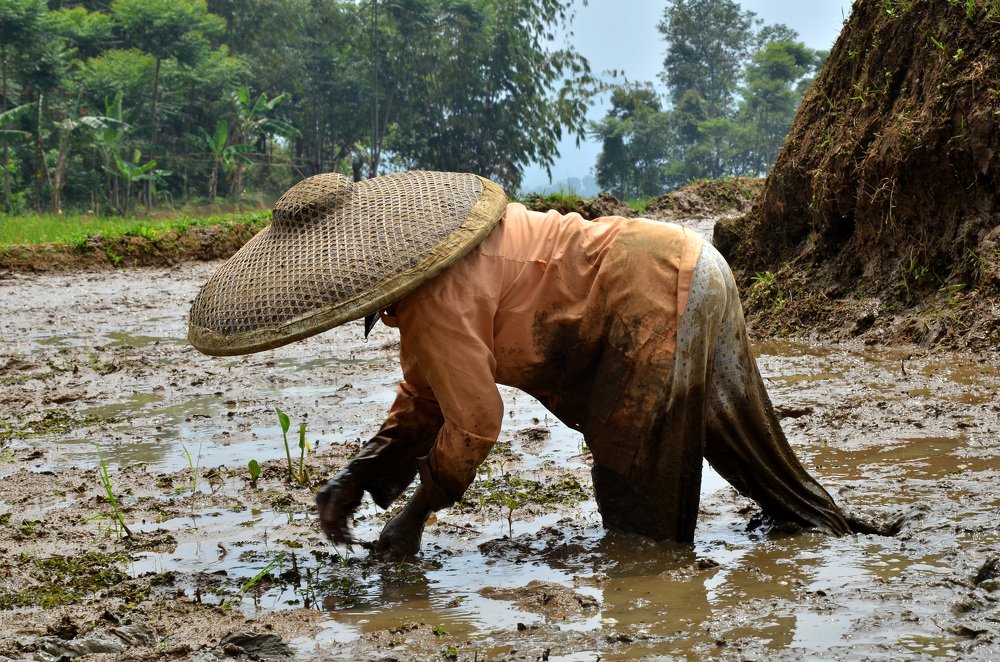 Photograph by Cahya Nugraha